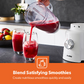 2-IN-1 ICE CRUSHING JUG BLENDER AND SMOOTHIE MAKER WHITE